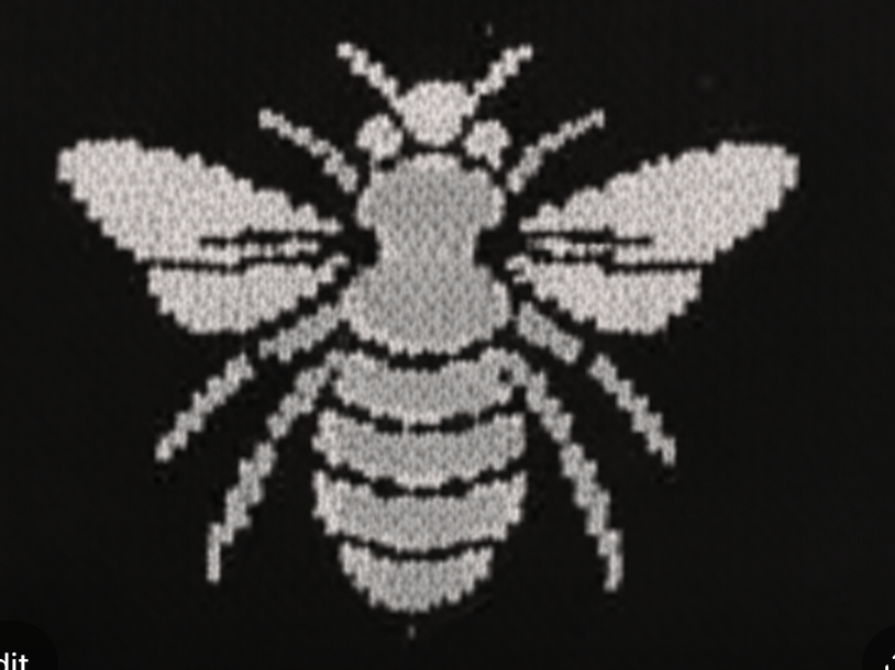 Iconic Stripe Bee Sweater